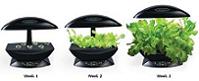AeroGarden 3 with Gourmet Herb Seed Kit (Black)